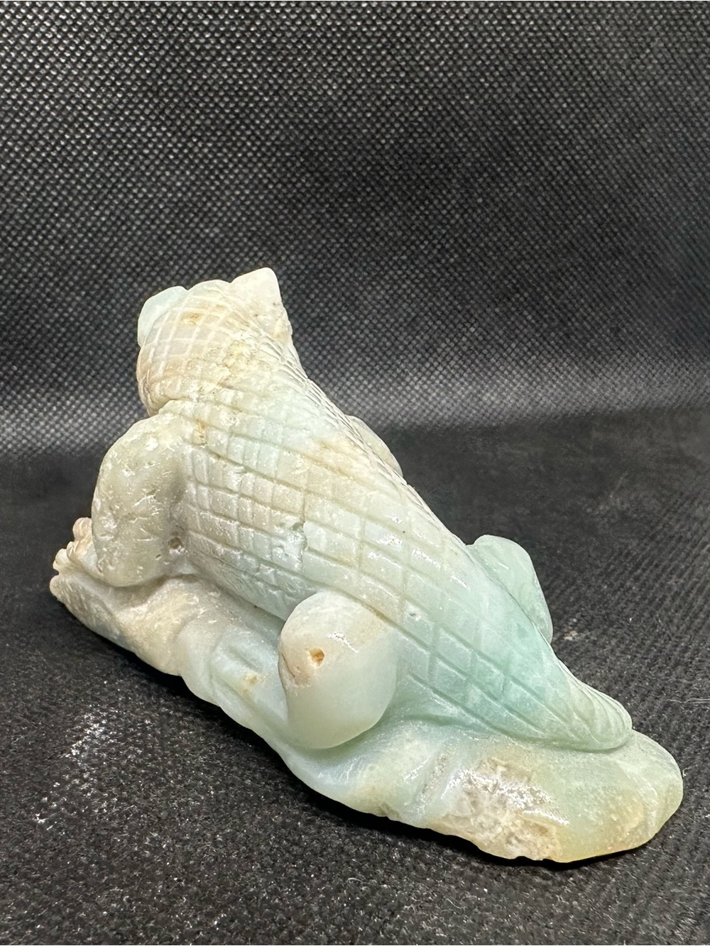 Amazonite lizard - Picture 5 of 6